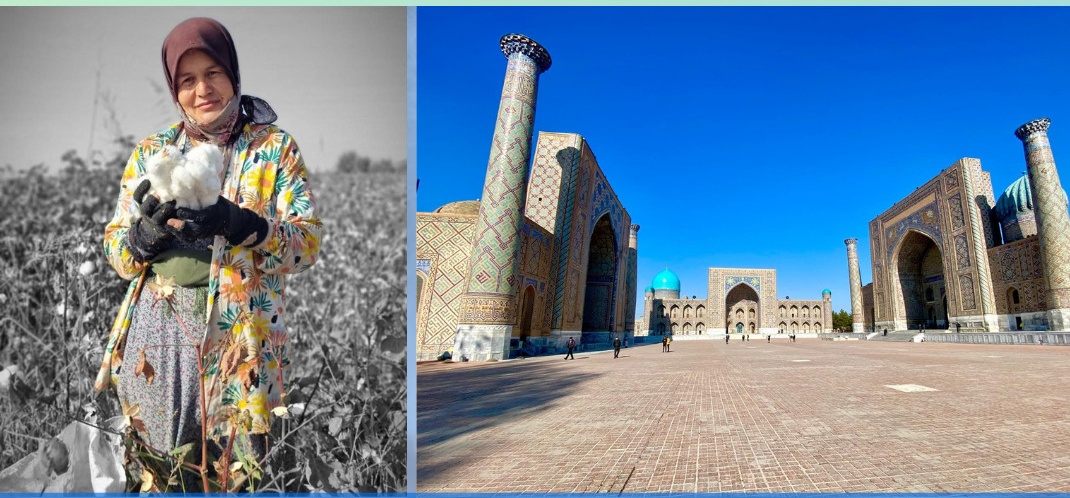 IMG-20251108-WA0019 (2)